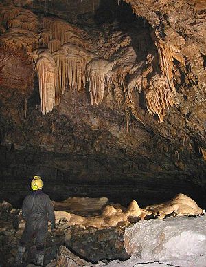 Speleothems in Hall of the Mountain King, Ogof Craig a Ffynnon, South Wales.