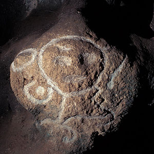 Taino petroglyphs in a cave in Puerto Rico