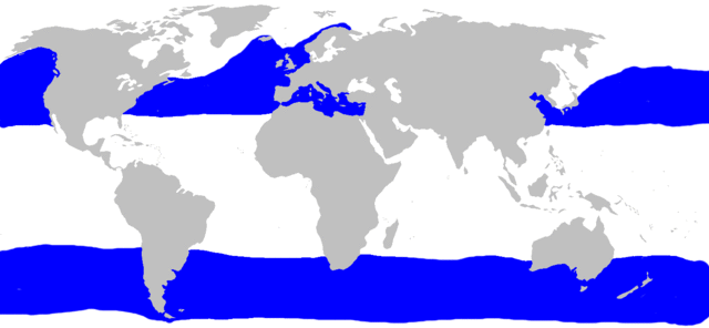 Image:Basking shark distribution.gif