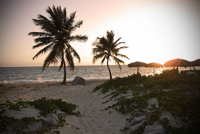 Image:Tropical beach sunset.jpg