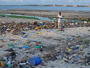 A combination of public carelessness and official negligence has turned this beach in Dar es Salaam (the capital of Tanzania) into an open rubbish dump, posing a risk to public health.