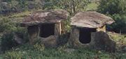 Muniyaras, dolmens erected by Neolithic tribesmen, in Marayoor.