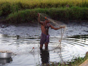 Most Keralites, such as this fisherman, live in rural areas.