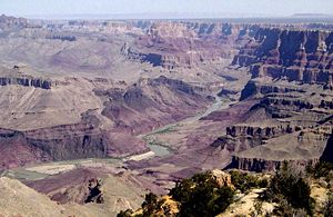 Colorado River in the Grand Canyon from Desert View