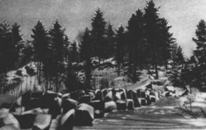 A set of German antitank devices set up in wooded hills, part of the extensive defences the Germans had created around Smolensk