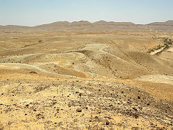 Jurassic limestones and marls (the Matmor Formation) in southern Israel.