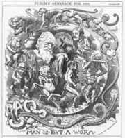 Punch's almanac for 1882, published shortly before Darwin’s death, depicts him amidst evolution from chaos to Victorian gentleman with the title Man Is But A Worm.
