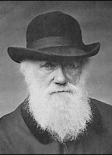 Darwin in 1880, still working on his contributions to evolutionary thought that had had an enormous effect on many fields of science.