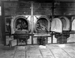 Bones of anti-Nazi German women still are in the crematoriums in the German concentration camp at Weimar, Germany. Photo taken by the 3rd U.S. Army, 14th April 1945