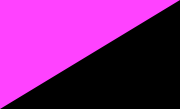 A purple and black flag is often used to represent Anarcha-feminism.