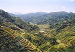 Site #772: The Banaue Rice Terraces in the mountains of Ifugao (Philippines).