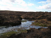 The source of the River Severn in the Winter of 2006.