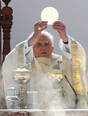Pope Benedict XVI celebrates Holy Mass at the canonization of Frei Galvão in São Paulo, Brazil on May 11, 2007.