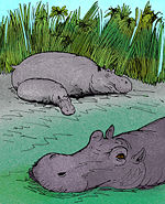 Hippopotamus gorgops, which had unusually high orbits, lived in Europe but became extinct before the last Ice Age.