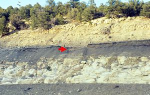 K–T boundary along Interstate 25 near Raton Pass, Colorado. The iridium-rich ash (the boundary) is indicated by the red arrow.