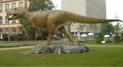 Tyrannosaurus replica at Senckenberg Museum, showing modern view of posture.
