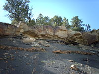 The K–T boundary exposure in Trinidad Lake State Park, in the Raton Basin of Colorado, shows an abrupt change from dark- to light-colored rock.