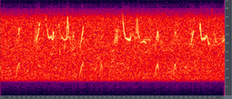 Humpback Whale song spectrogram,— Play audio (OGG format, 57 kB)