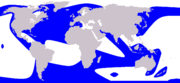 Orca range (in blue)