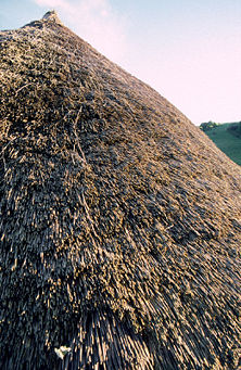 An Iron Age thatched roof, Butser Farm, Hampshire, England