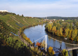 Vineyards on the Neckar river in the Mühlhausen area of Stuttgart