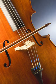 Study of a three-quarter size cello.