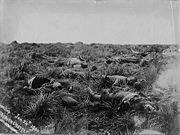 British soldiers lie dead on the battlefield after the Battle of Spion Kop, 24th Jan. 1900