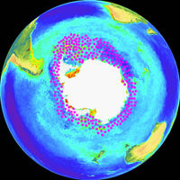 Krill distribution on a NASA SeaWIFS image — the main concentrations are in the Scotia Sea at the Antarctic Peninsula