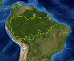 Map of the Amazon rainforest ecoregions as delineated by the WWF. Yellow line approximately encloses the Amazon rainforest (although leaving out Venezuela and the Guianas). National boundaries shown in black. Satellite image from NASA.