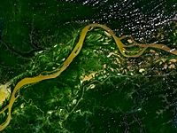 The Amazon River flowing through the rainforest