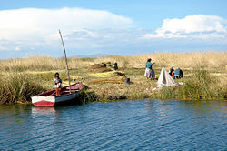 Uros people harvesting some totora, an aquatic plant used to make their famous floating islands