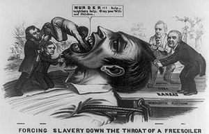 Forcing Slavery Down the Throat of a FreesoilerAn 1856 cartoon depicts a giant free soiler being held down by James Buchanan and Lewis Cass standing on the Democratic platform marked "Kansas", "Cuba" and "Central America". President Pierce also holds down the giant's beard as Stephen A. Douglas shoves a black man down his throat.