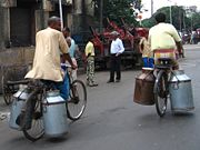 Transporting milk churns in Kolkata, India.