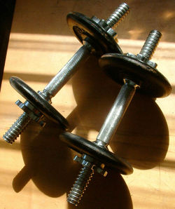 A complete weight training workout can be performed with a pair of adjustable dumbbells and a set of weight disks (plates).