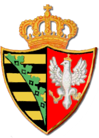 Image:Duchy of Warsaw 11.PNG