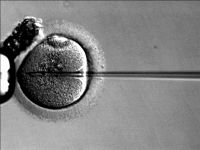 Intracytoplasmic sperm injection is used to provide fertility for men with cystic fibrosis.