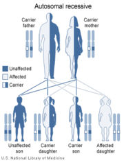 Cystic Fibrosis has an autosomal recessive pattern of inheritance.
