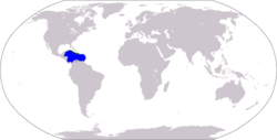 Map of the Caribbean:blue = Caribbean Oceangreen = Antilles