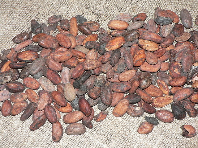Image:Cocoa beans P1410151.JPG