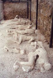 "Garden of the Fugitives". Some plaster casts of victims of the eruption still in actual Pompeii; many are in the Archaeological Museum of Naples. (Casts can also be found, amongst other places, near the forum, inside the baths, and at the Villa of the Mysteries.)