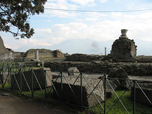 Fencing in the temple of Venus prevents vandalism of the site, as well as theft.