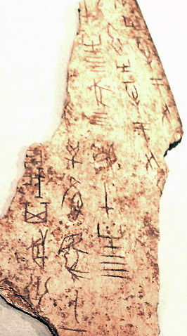 Shāng Dynasty Oracle Bone Script on Ox Scapula, Linden-Museum, Stuttgart, Germany. Photo by Dr. Meierhofer
