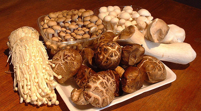 Image:Asian mushrooms.jpg