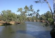 A branch of the Murray in its middle reaches, near Howlong, New South Wales