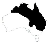 Distribution of Litoria caerulea (in  black) on the Australian continent