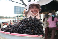 Fried spiders at a Cambodian market