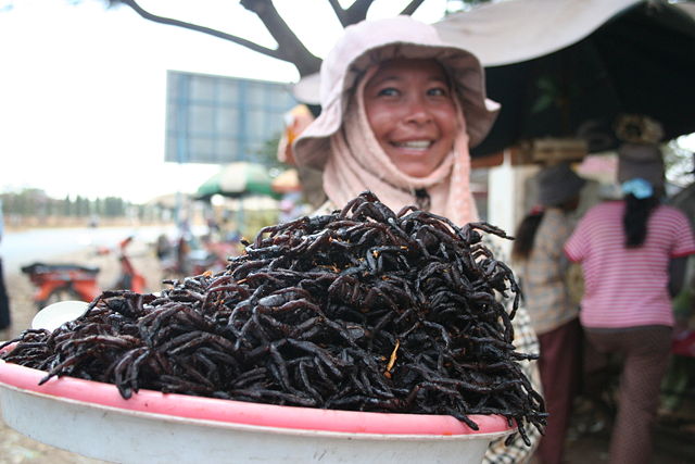 Image:Fried spiders Skuon Cambodia.jpg