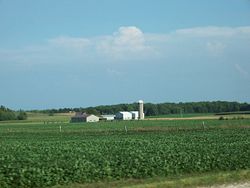 Soybean fields in the United States