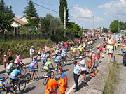 A collected peloton in the 2006 Tour.