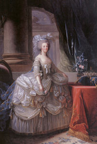 Marie Antoinette in a court dress of 1779 worn over extremely wide panniers. Portrait by Mme Vigée-Lebrun.
